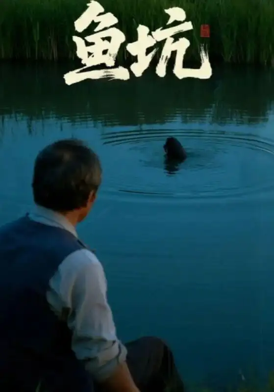 短剧《鱼坑》高清全集免费在线观看