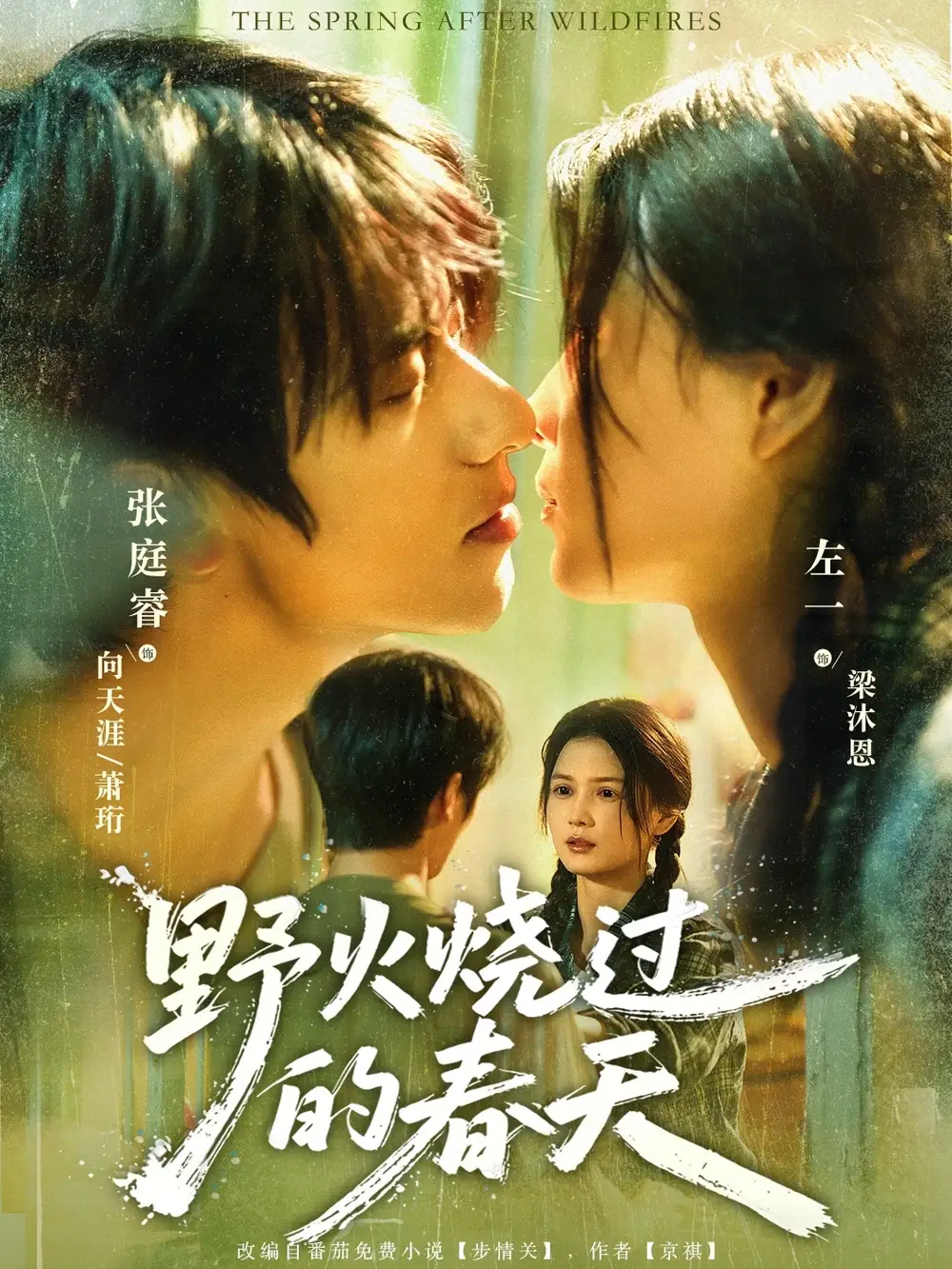 短剧《野火烧过的春天》高清全集免费在线观看