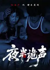 夜半诡声（28集）付晓月海报