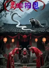 短剧《灵蛇报恩》高清全集免费在线观看