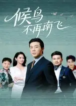 短剧《候鸟不再南飞》高清全集免费在线观看