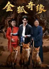 短剧《金狐奇缘》高清全集免费在线观看