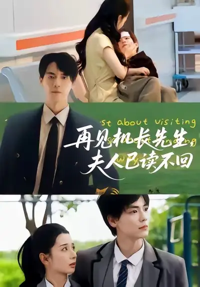 短剧《再见机长先生夫人已读不回》高清全集免费在线观看