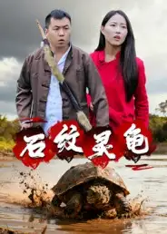 短剧《石纹灵龟》高清全集免费在线观看