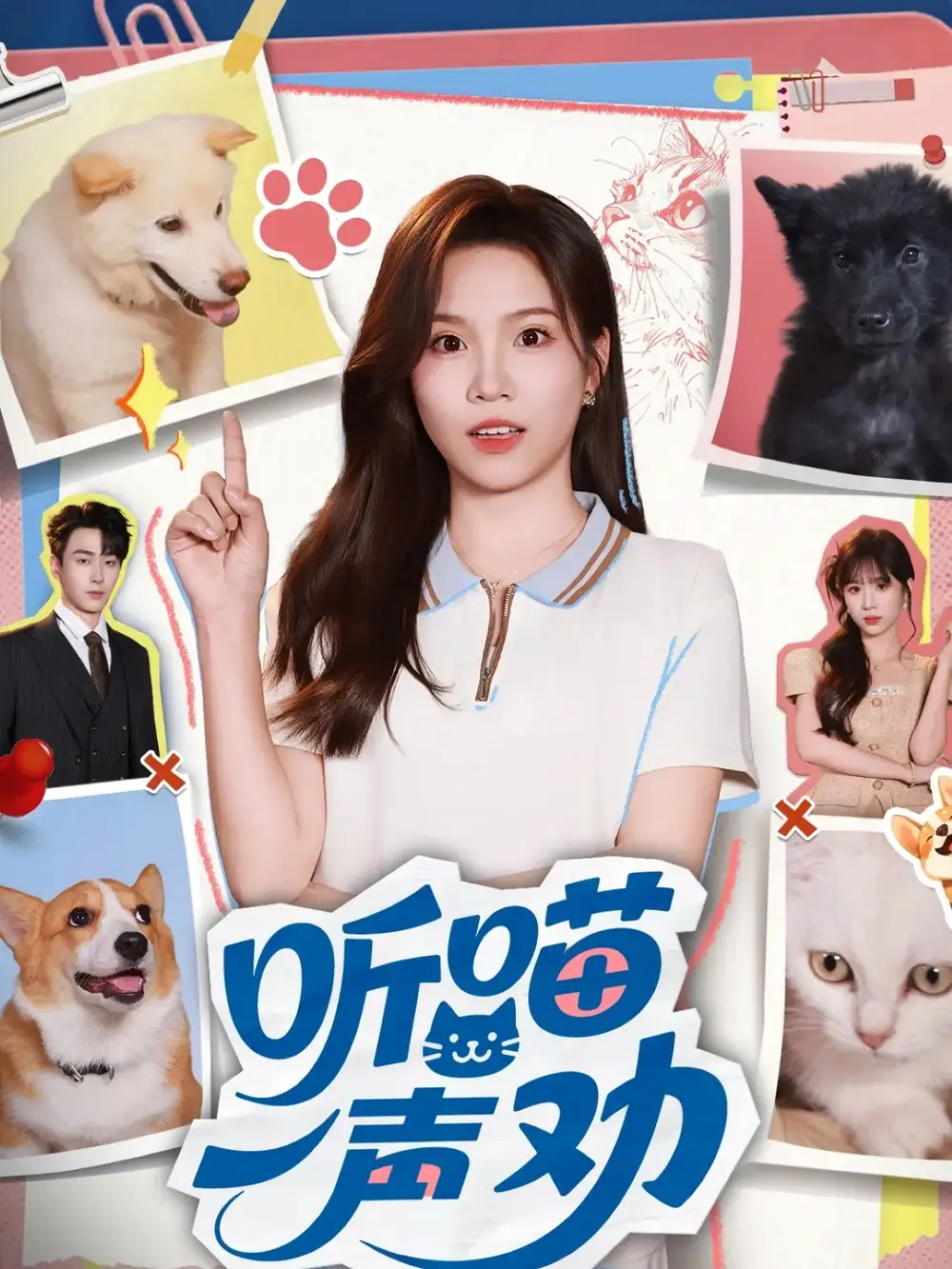 短剧《听喵一声劝》高清全集免费在线观看