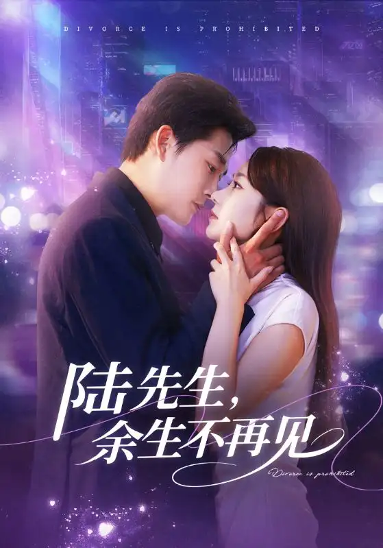 短剧《陆先生，余生不再见》高清全集免费在线观看