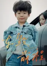 短剧《车毁前程》高清全集免费在线观看