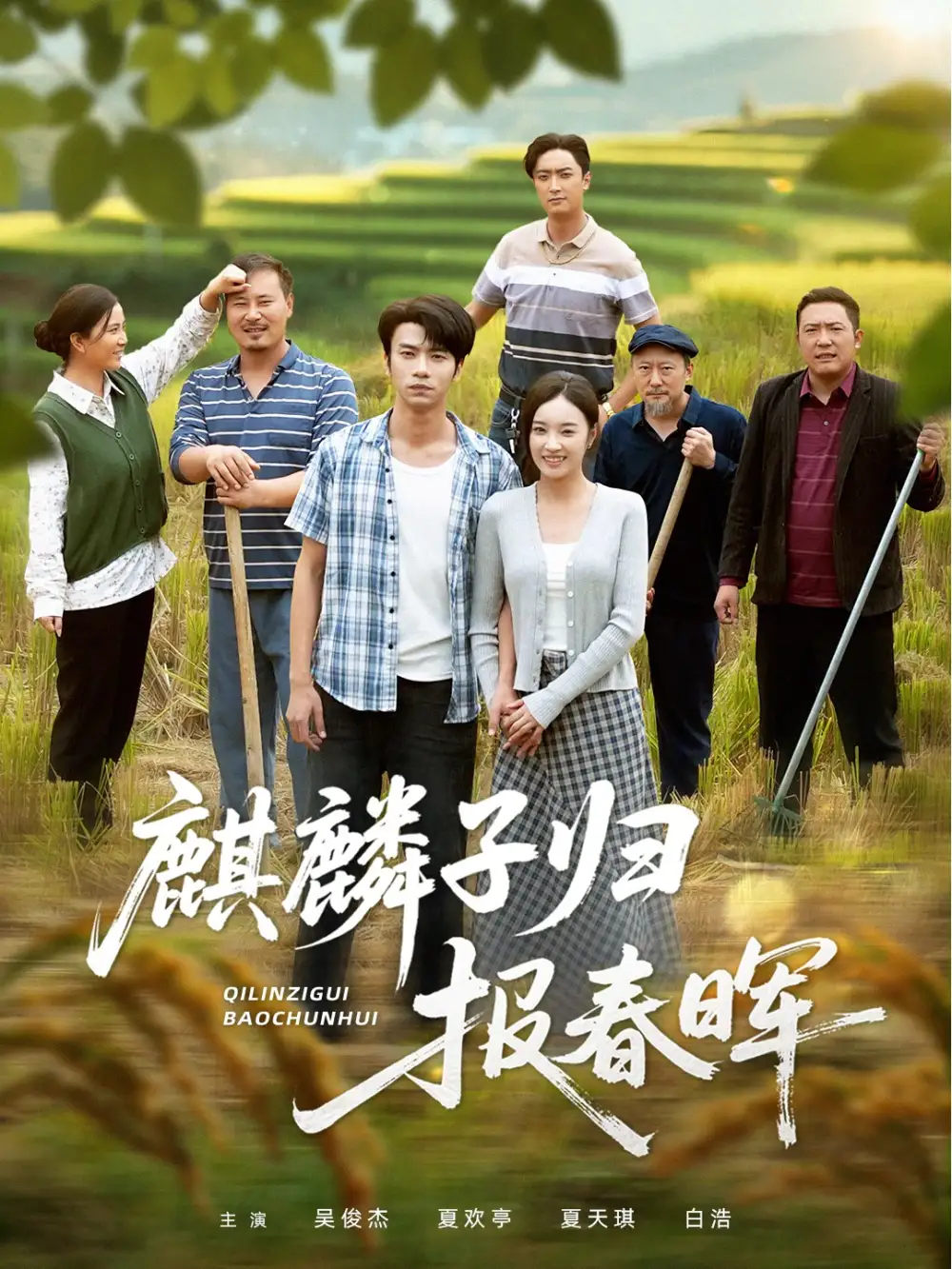 短剧《麒麟子归报春晖》高清全集免费在线观看