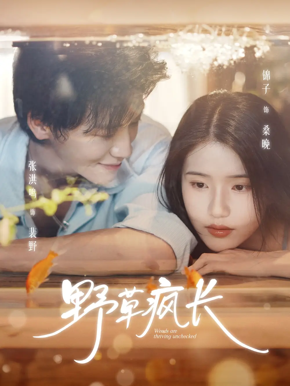 短剧《野草疯长》高清全集免费在线观看