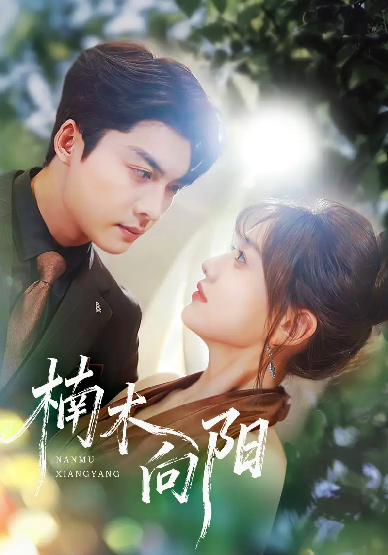 短剧《楠木向阳》高清全集免费在线观看