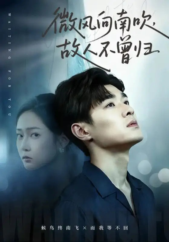 短剧《微风向南吹，故人不曾归》高清全集免费在线观看