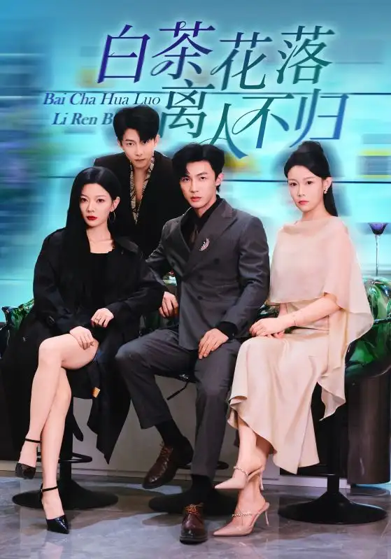 短剧《白茶花落离人》高清全集免费在线观看