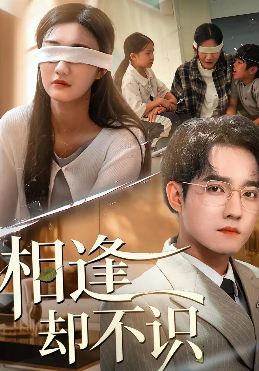 短剧《相逢却不识》高清全集免费在线观看