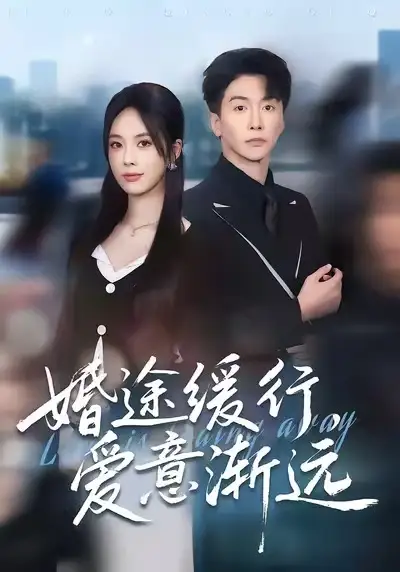 婚途缓行，爱意渐远（60集）刘承林＆郑千亦海报