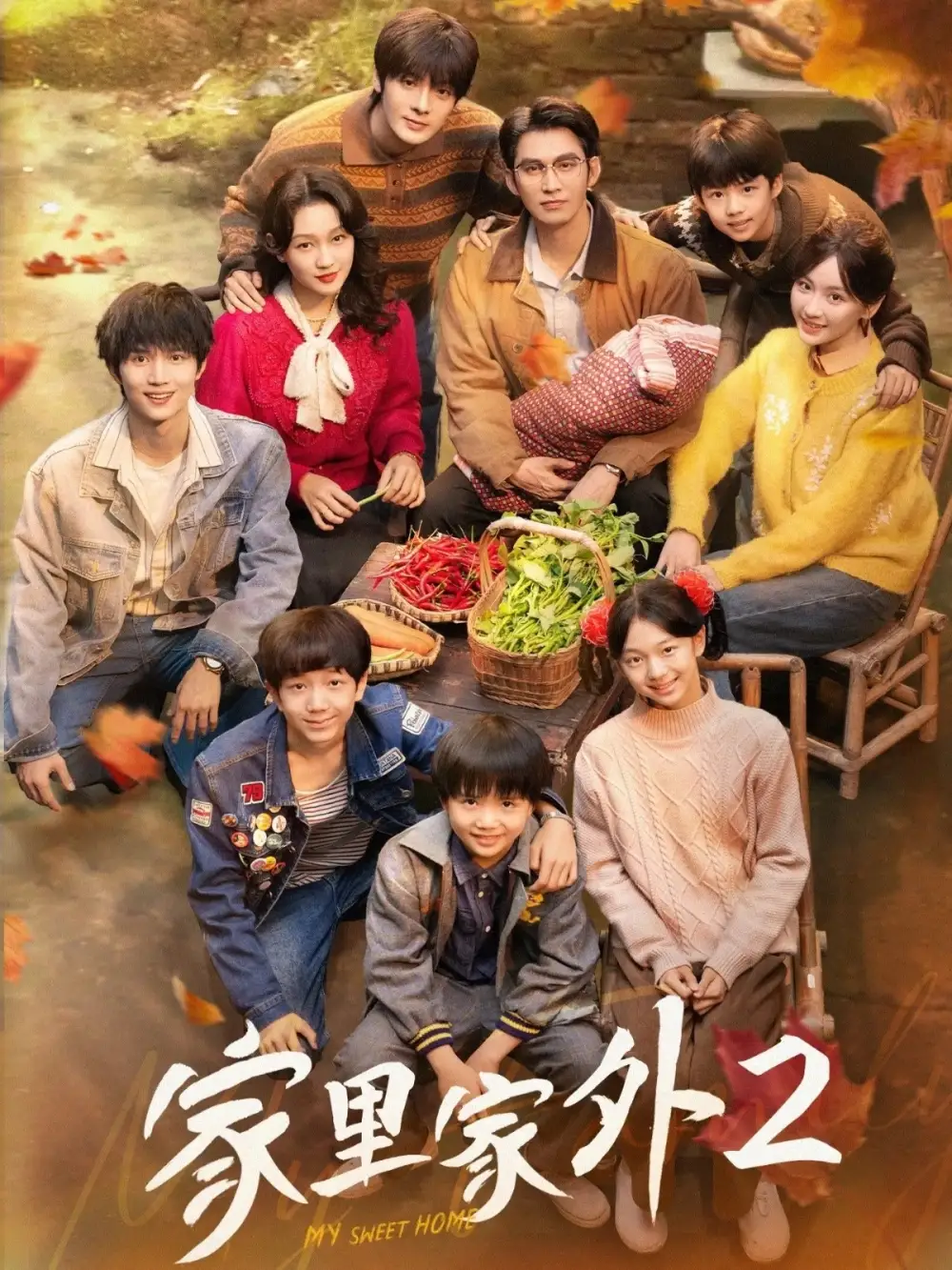 家里家外2（111集）王道铁＆孙艺燃＆王培延＆邓灵枢＆段美洋海报