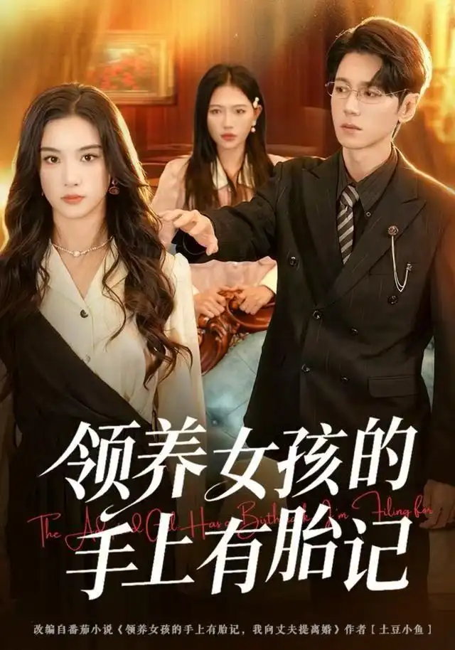 领养女孩的手上有胎记（60集）王宇婧&刘君尧海报